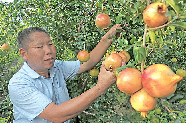 濟源網