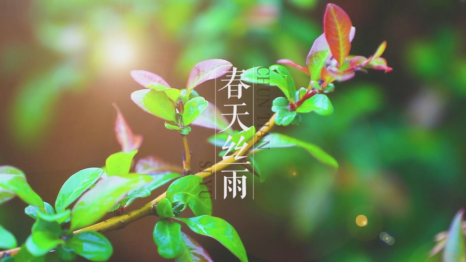 濟(jì)源網(wǎng)