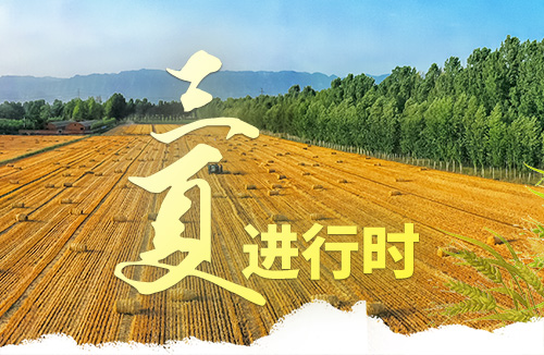 濟源網(wǎng)