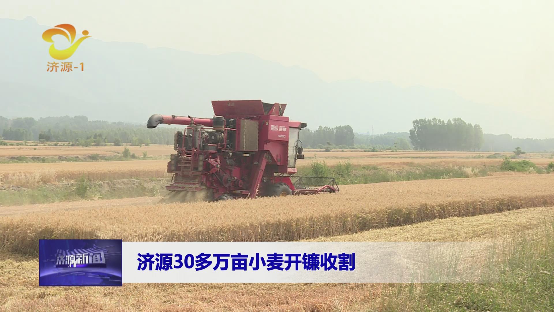 濟源網