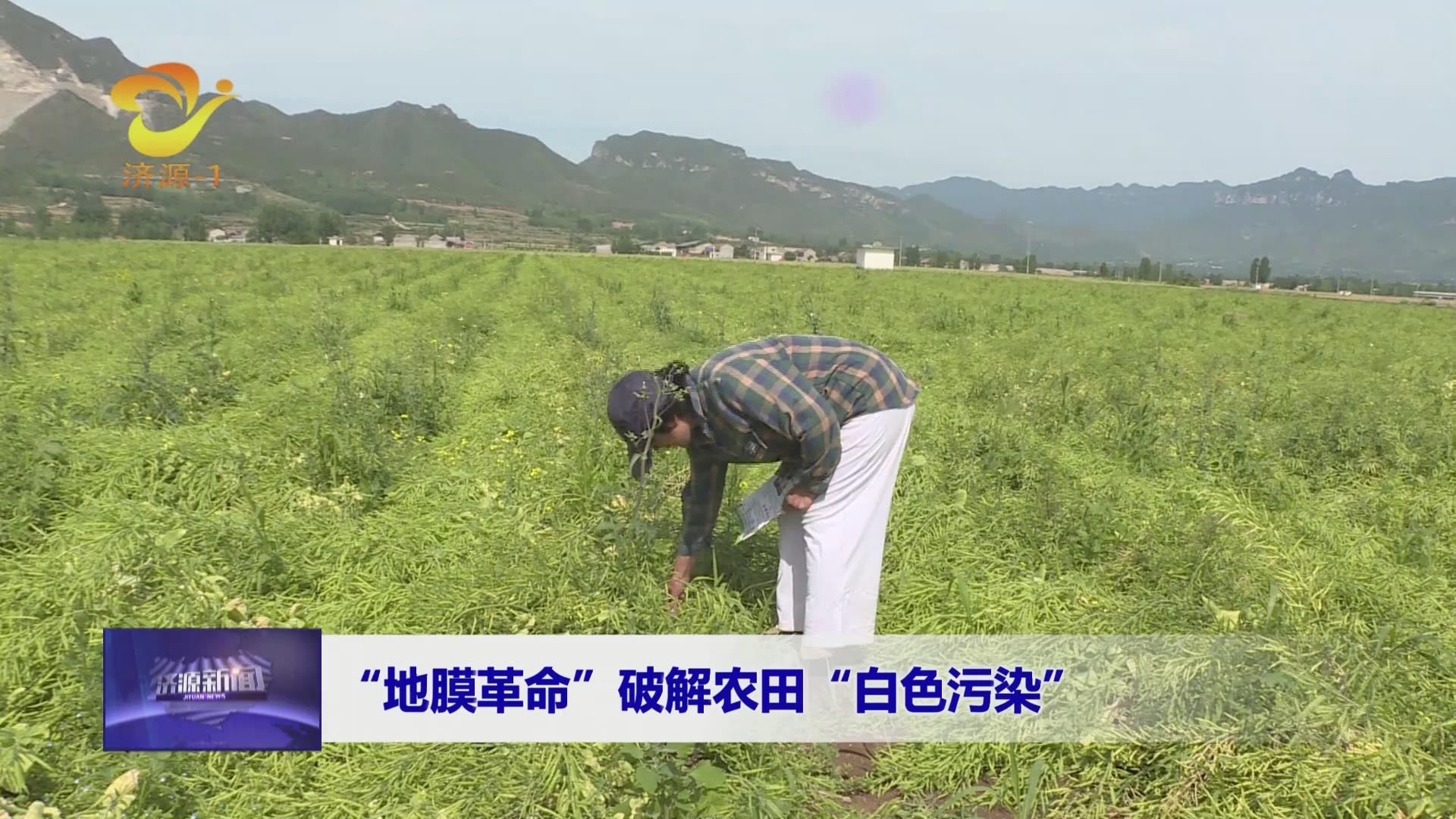 濟源網