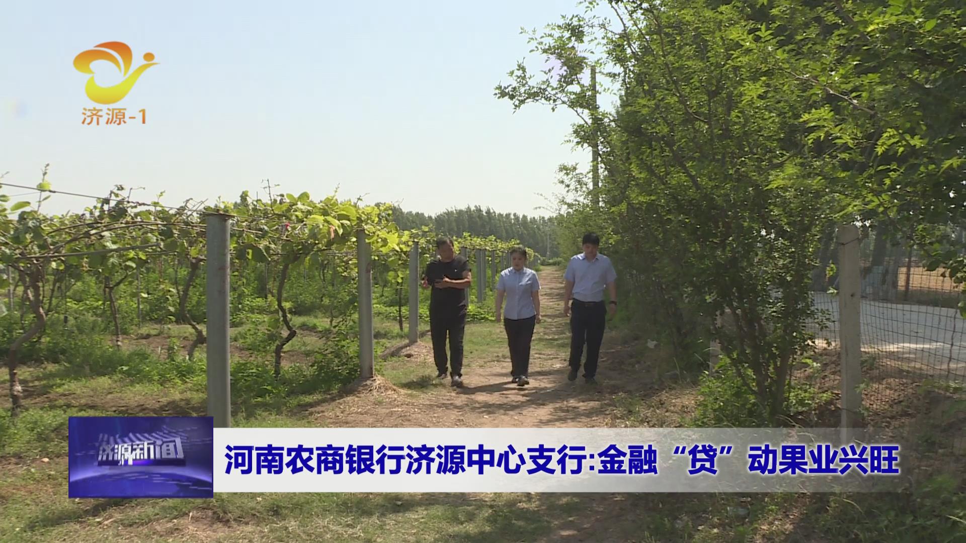 濟源網