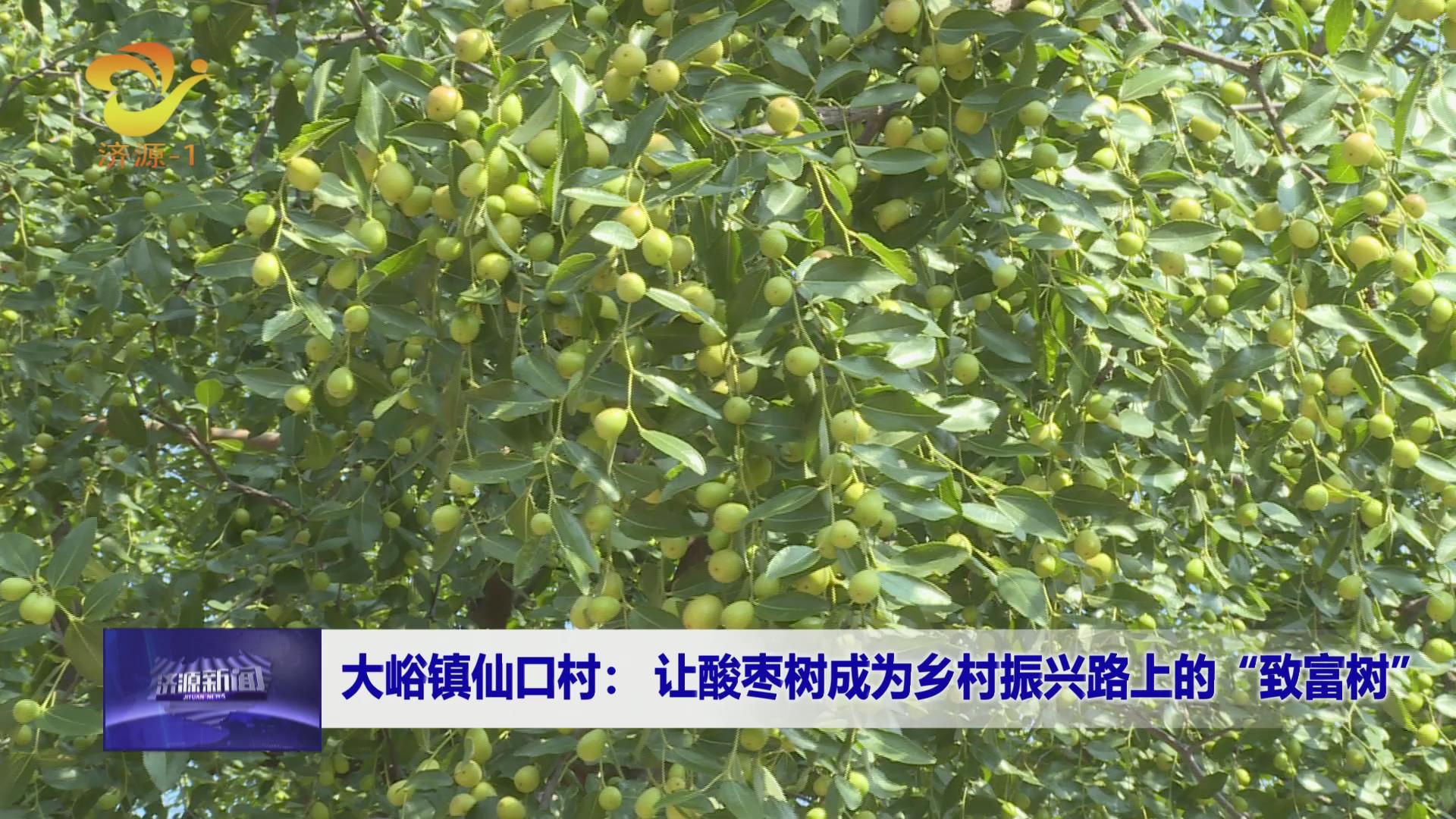 濟源網(wǎng)