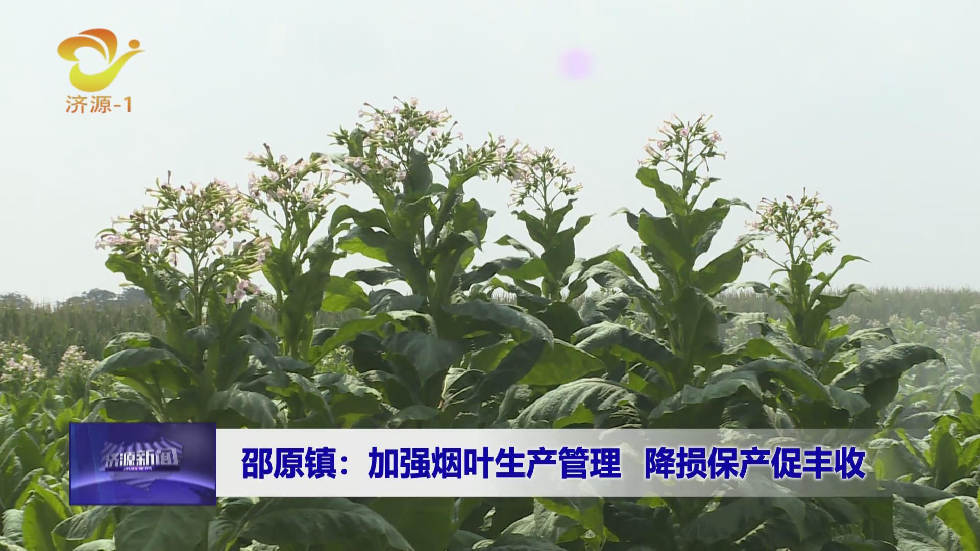 濟(jì)源網(wǎng)